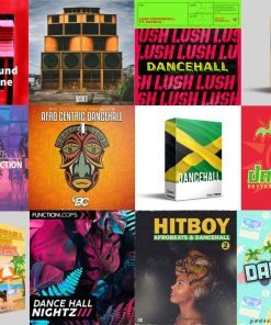 Dancehall Sound Collection WAV, Samples, MIDI, LOOPS MULTIFORMAT