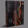 Solemn MayoBass VST Instrument