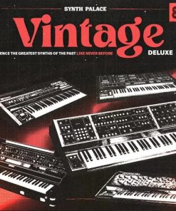 Synth Palace Vintage Deluxe Collection